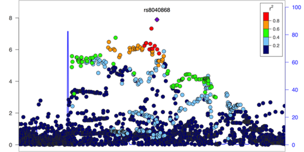 Placeholder image for deomnstration
